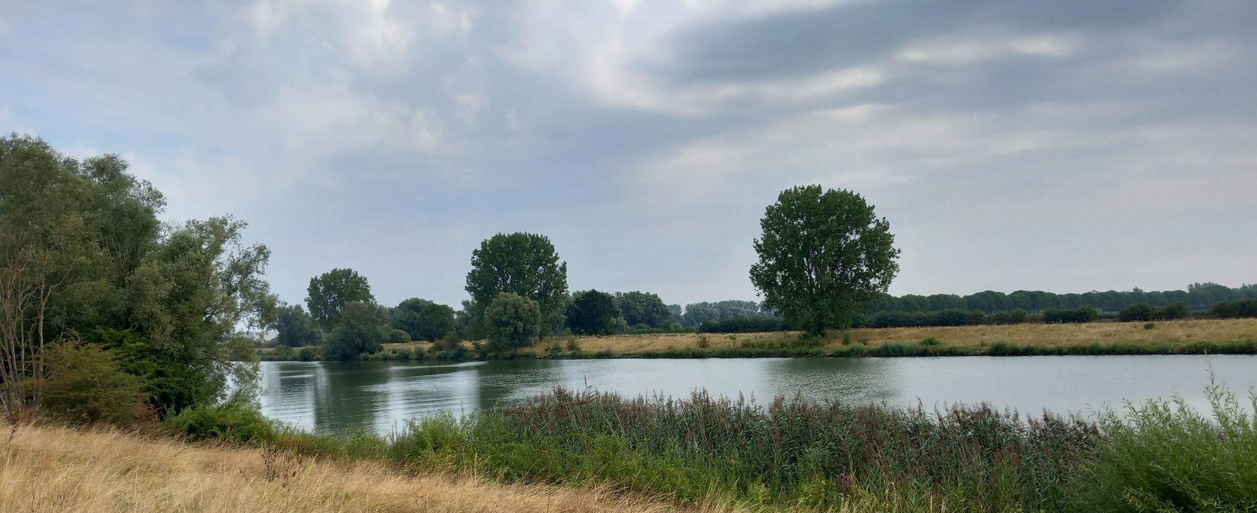 Een rustige rivier met bomen, gras en een bewolkte lucht erboven.