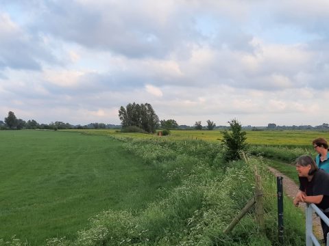 Verslag avondwandeling Rosandse Polder d.d. 19 mei 2022