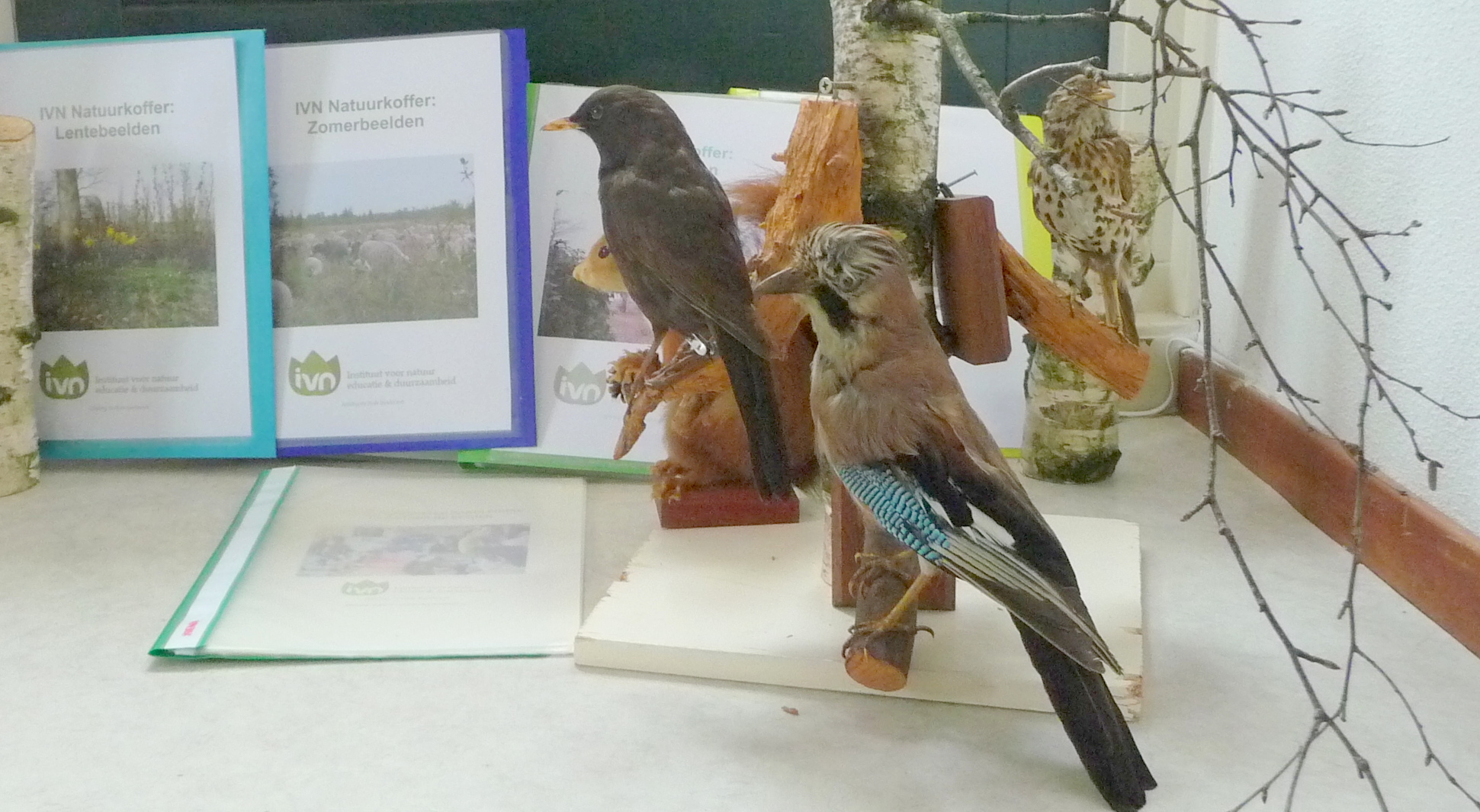 Nieuwe aanbieding Lentekoffer!