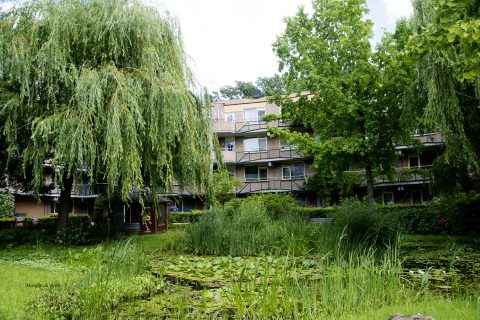 Verslag van binnenstadswandeling Zevenaar op 3 juli 2022.