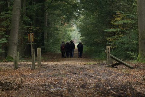 Vogelwerkgroep op excursie in de Slangenburg