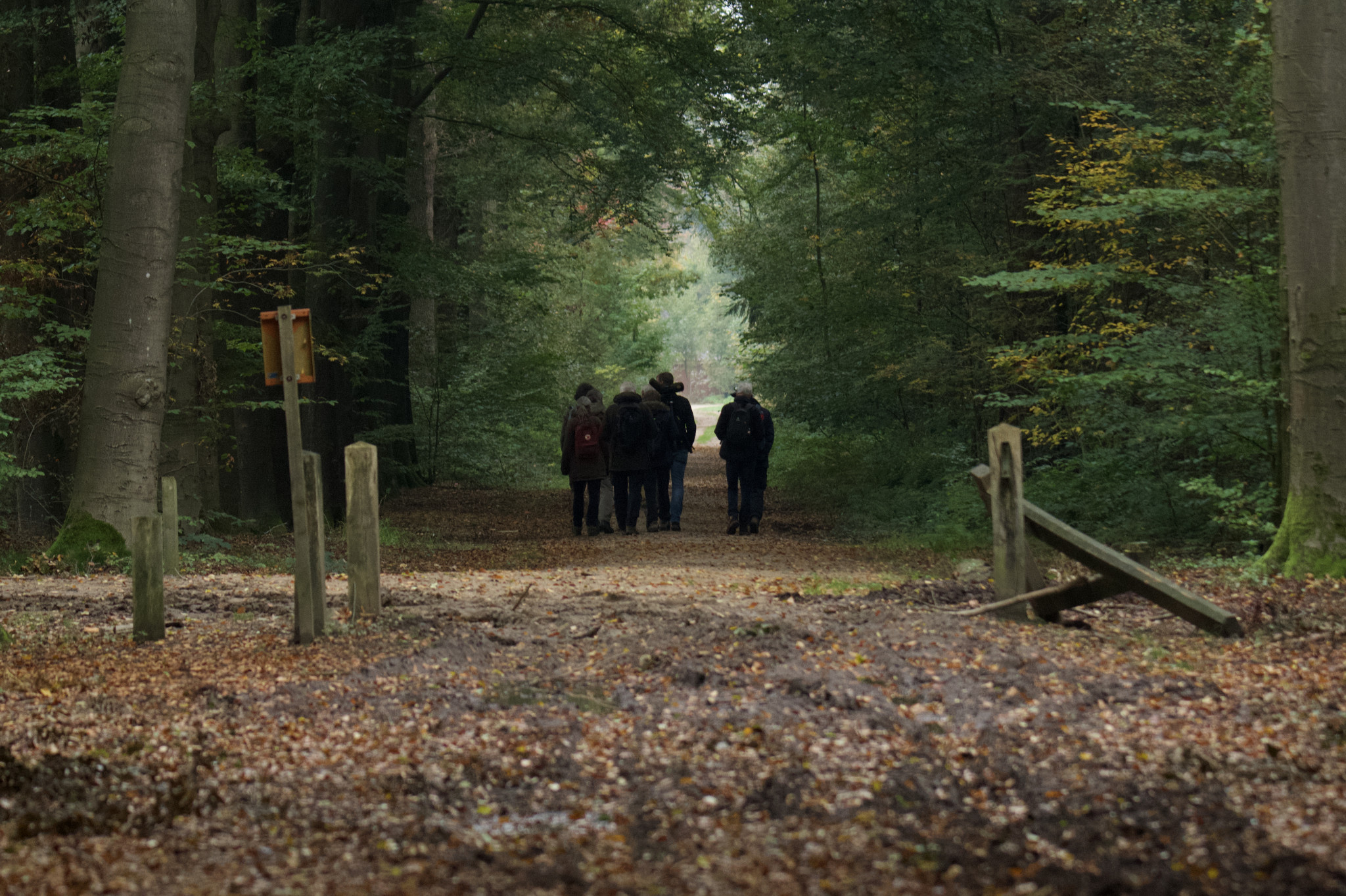 IVN De Oude IJsselstreek Vogelwerkgroep