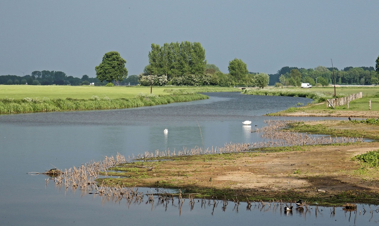 Regiowerkgroep Rondom Strang & Iessel