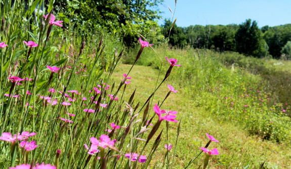 IVN De Oude IJsselstreek 