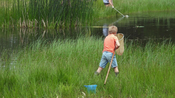 IVN De Oude IJsselstreek Slootjesdag 2021