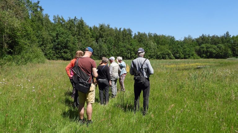 Verslag van een wandeling door de Heidenhoeksevloed