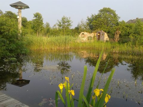 IVN'ers actief bij het jubileum van NatuurlijkBUITEN