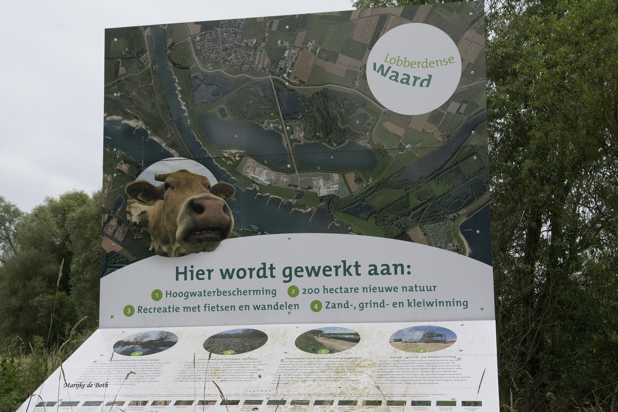 Verslag struintocht Lobberdense Waard 26 juni 2022