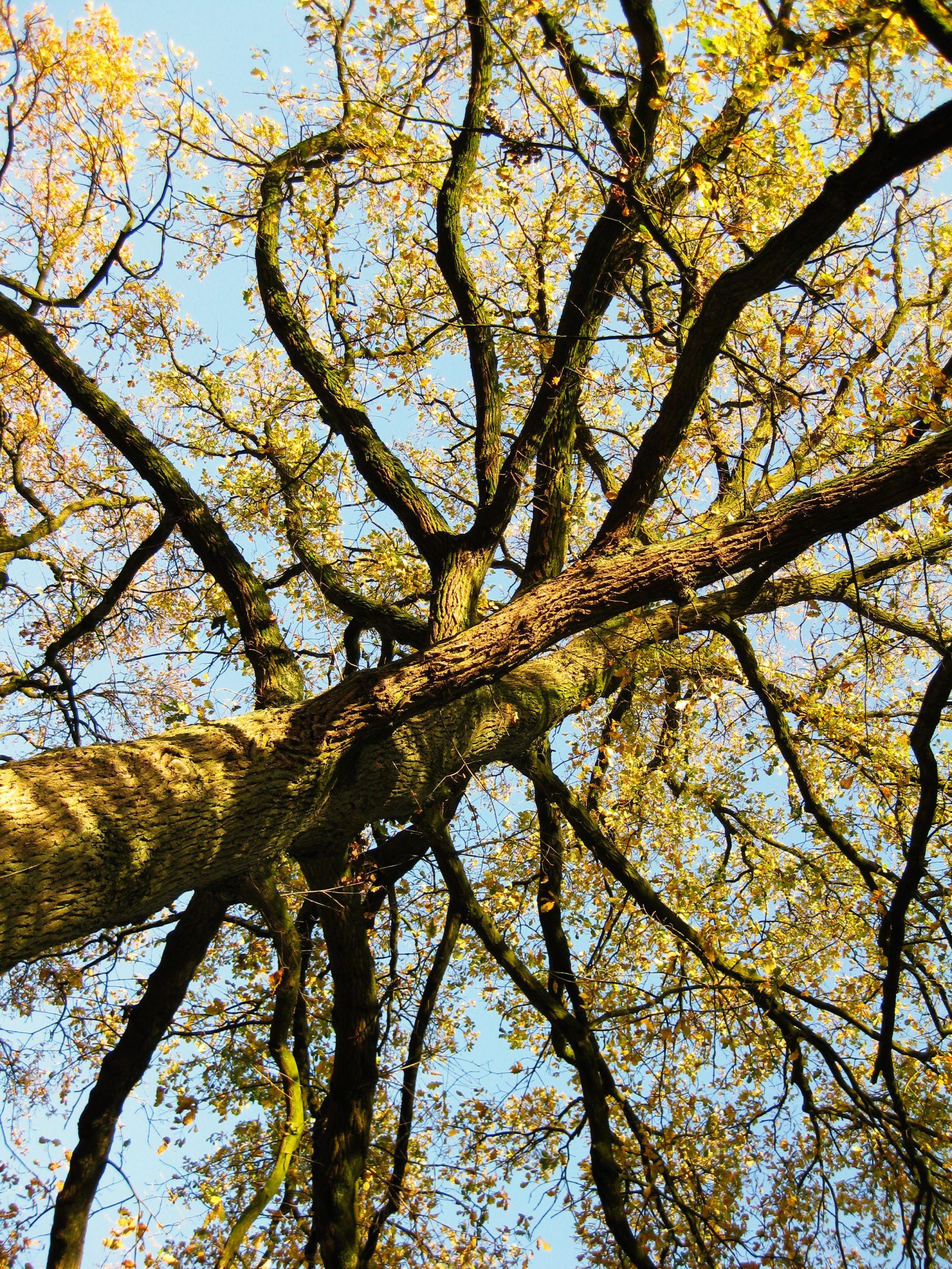 Beleef de herfst in de Gimbornhof