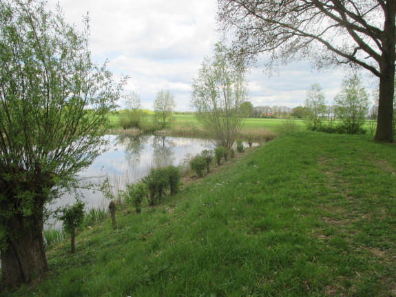 IVN De Oude IJsselstreek - Lage en Hoge Linie Doesburg