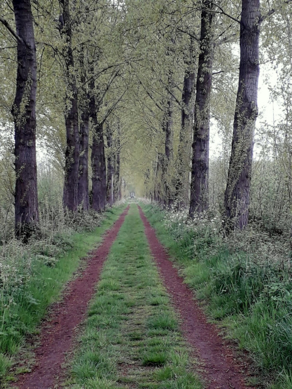 IVN De Oude IJsselstreek