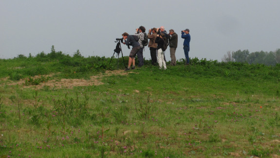 IVN De Oude IJsselstreek Vogelwerkgroep