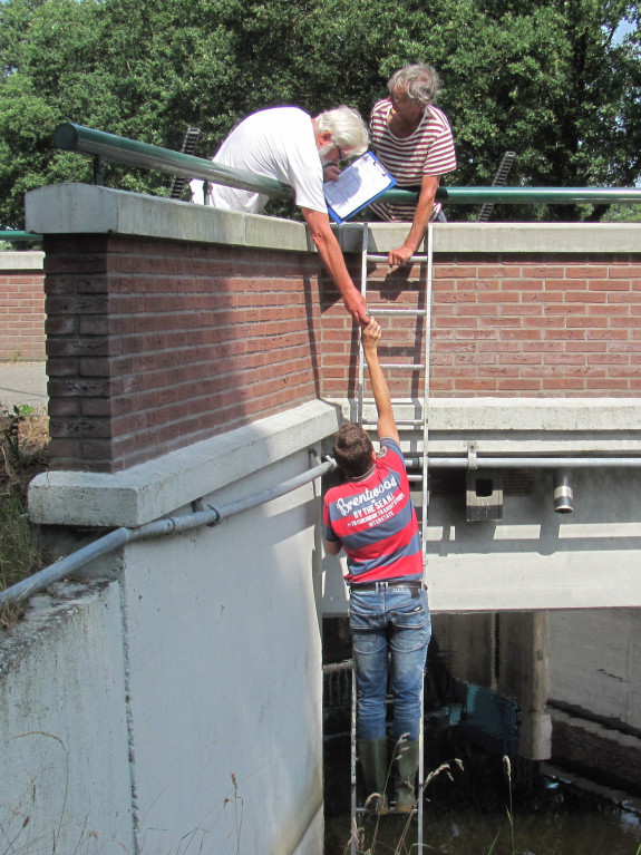 IVN De Oude IJsselstreek Vogelwerkgroep