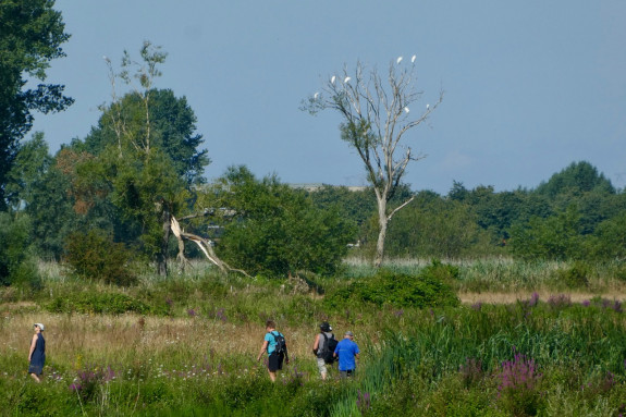 afd-de oude-ijsselstreek