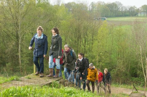 Kleiput Winterswijk wandeling excursie NGO gidsen - Foto Wilber Thus (header)