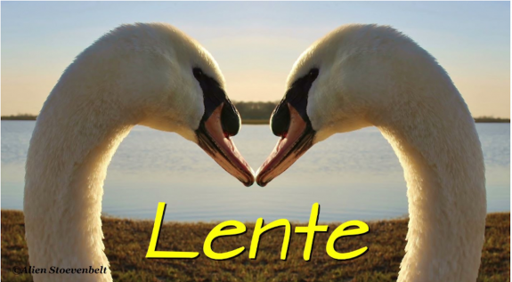 IVN De Oude IJsselstreek: Natuur Actief