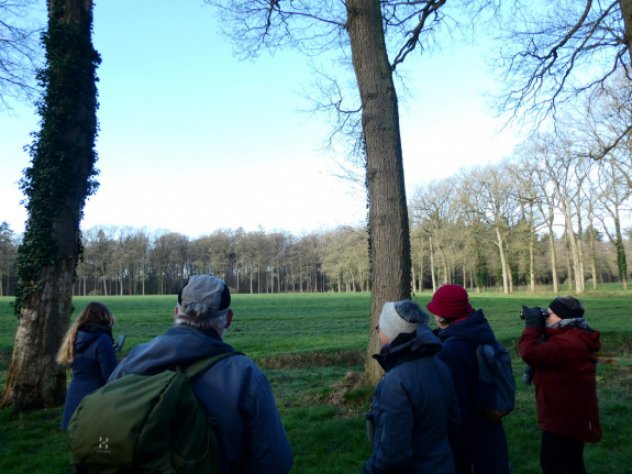 IVN De Oude IJsselstreek Vogelwerkgroep
