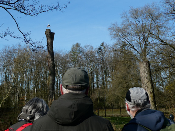 IVN De Oude IJsselstreek