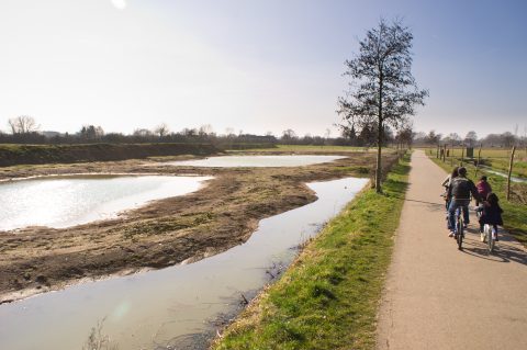 Fiets- en wandelroutes natuur water poel Wehlse Broeklanden - Foto Wilber Thus (header)