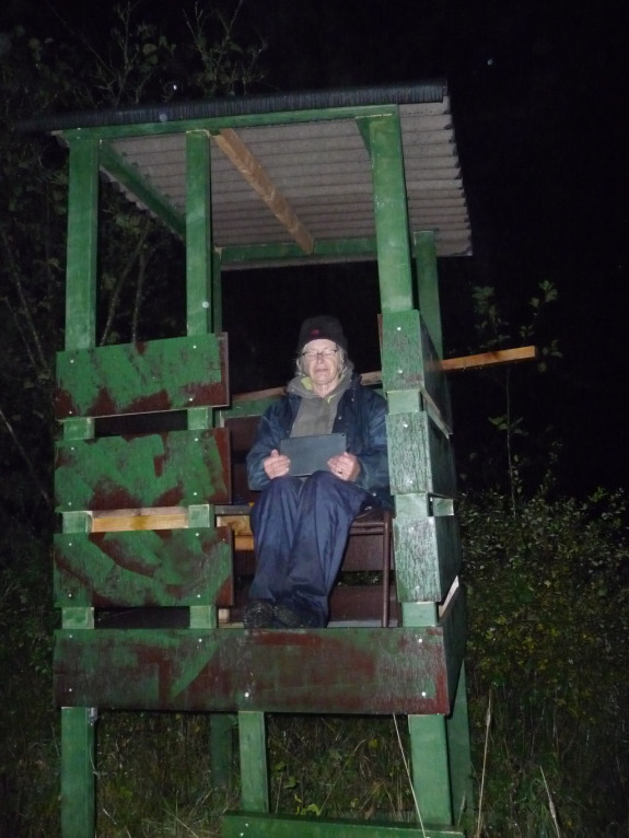 IVN De Oude IJsselstreek - Nacht van de nacht 2021