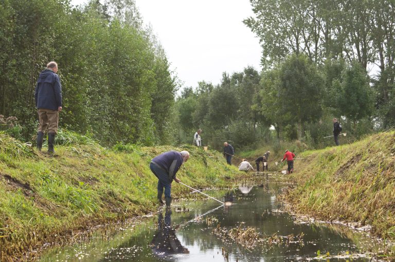 Slootjesvissen excursie activiteit waterdiertjes jeugd volwassenen NGO natuurgids - Foto Wilber Thus