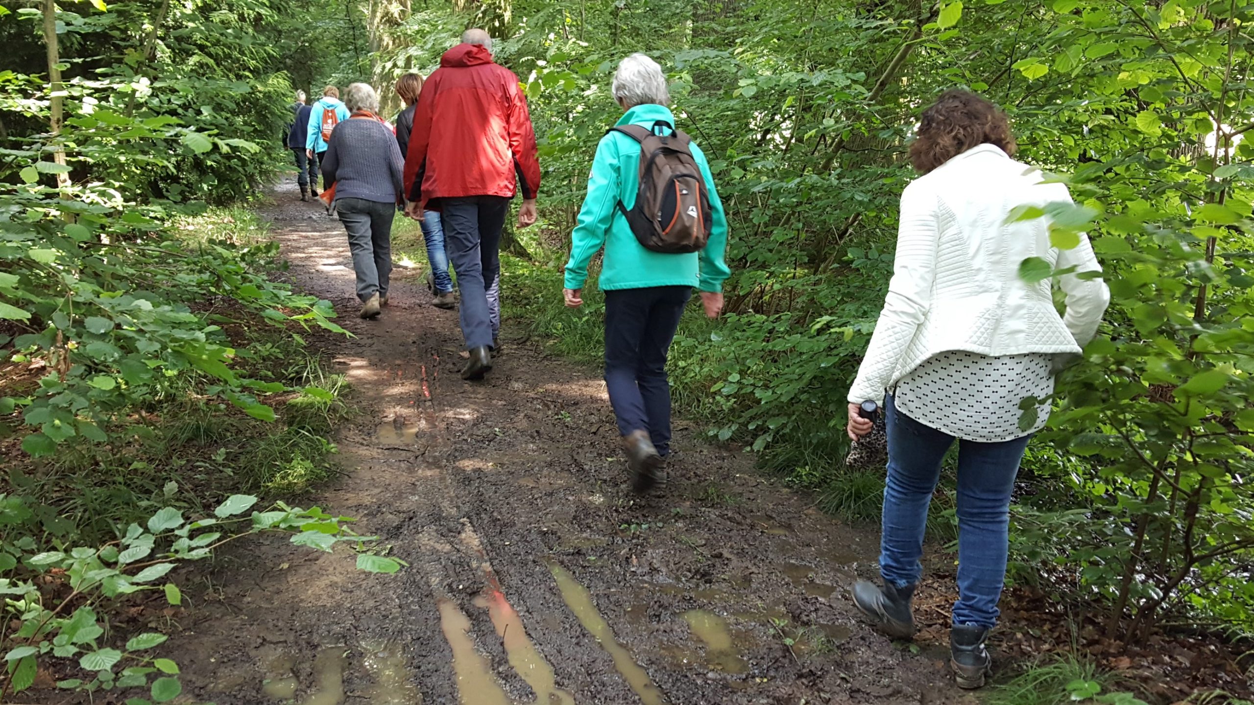 Zomerwandeling rondom Hummelo