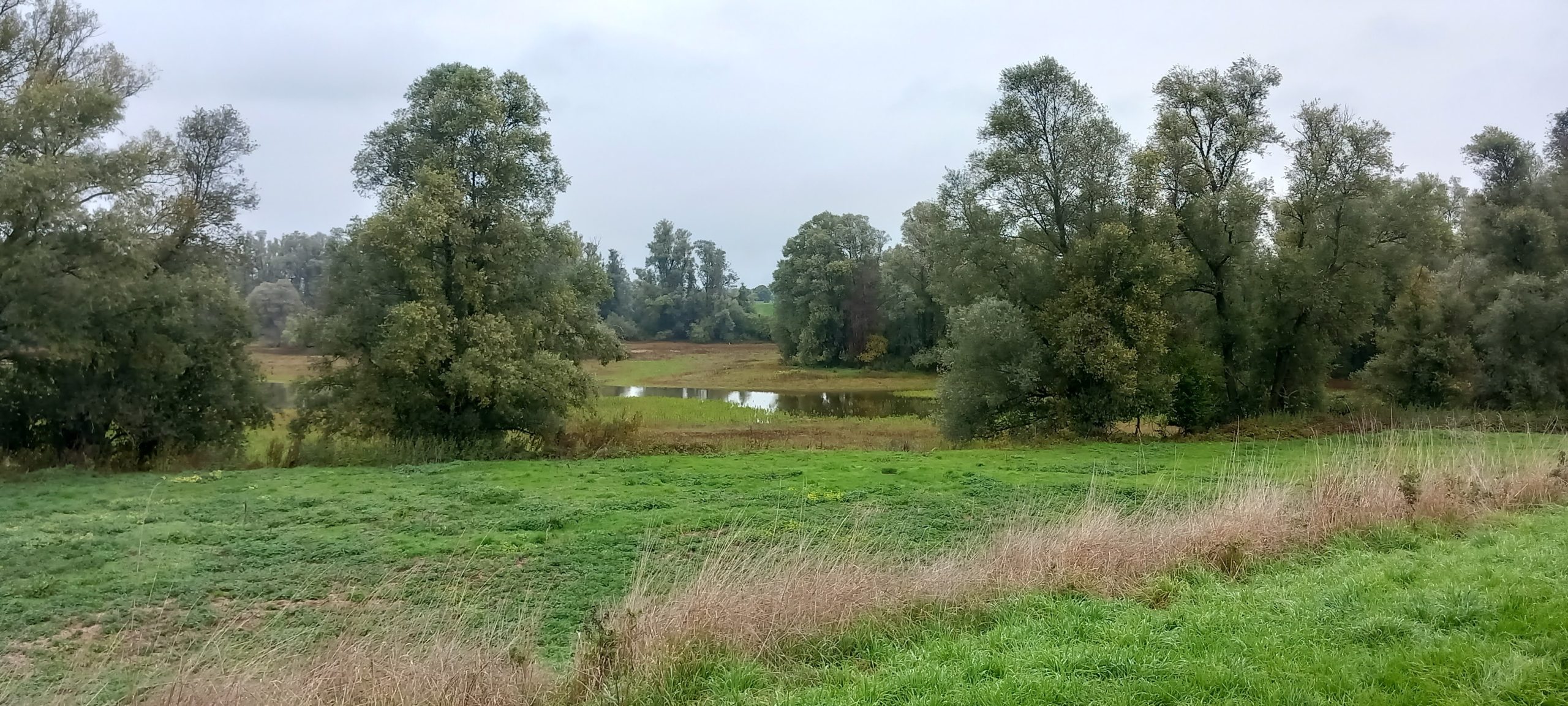 Lobberdense Waard