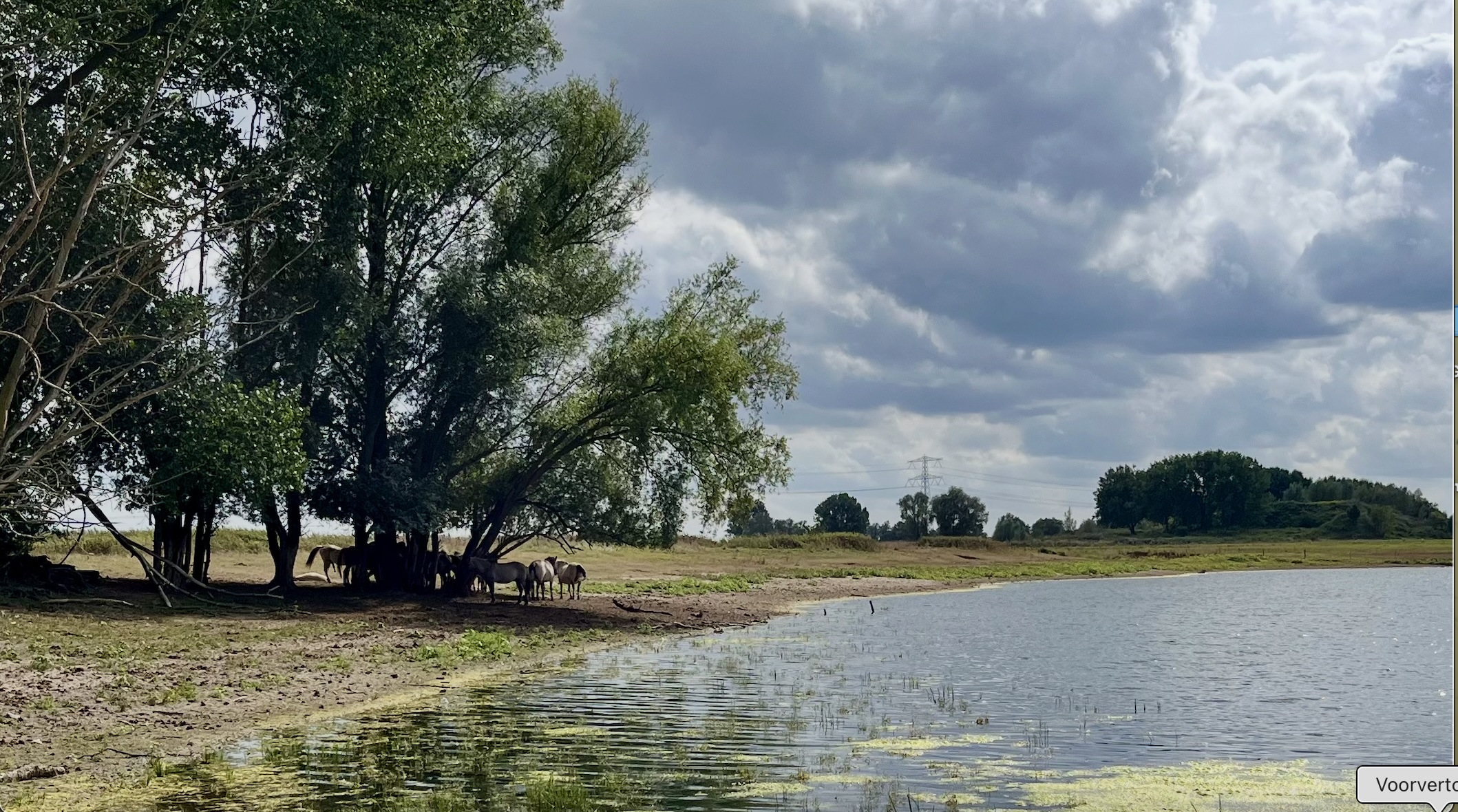 Rivierlandschap met paarden onder bomen; bewolkte hemel en water op de voorgrond.