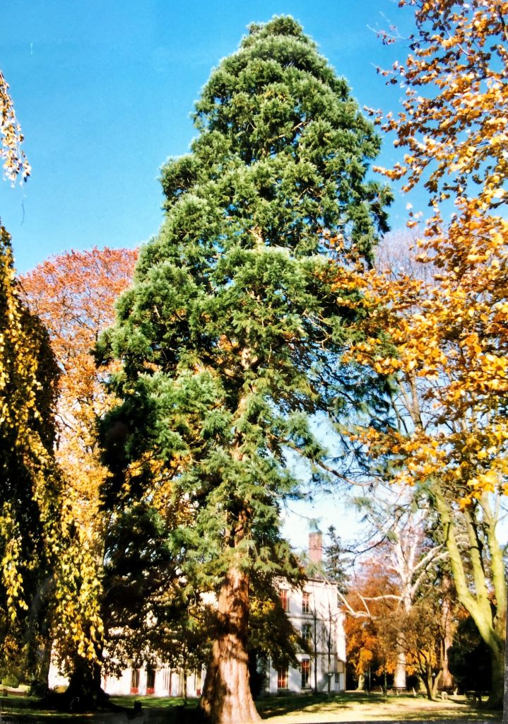 Arboretum Ruimzicht