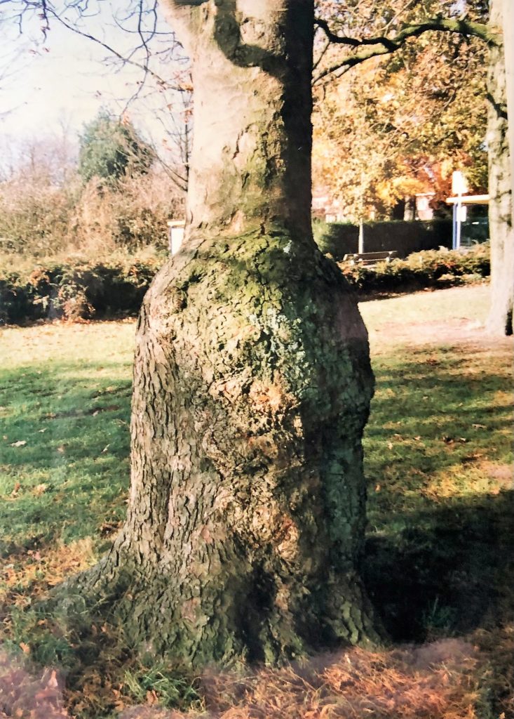 Arboretum Ruimzicht