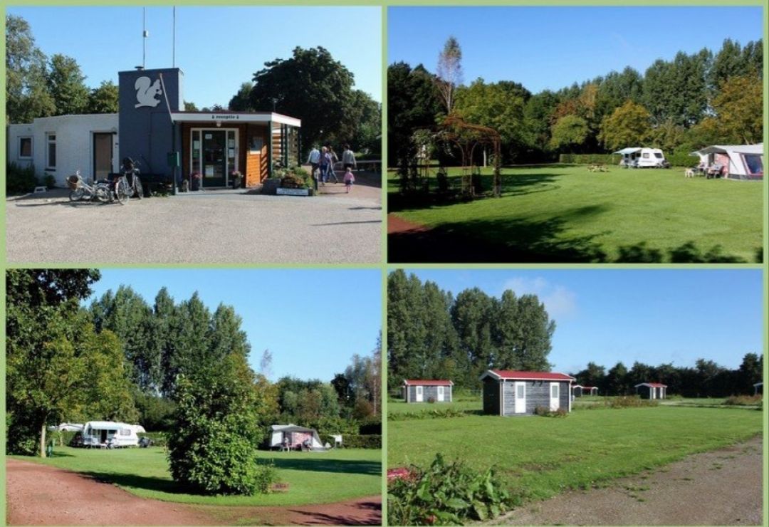 Collage van camping: receptie, grasveld met tenten en caravans, en groene omgeving met kleine huisjes.