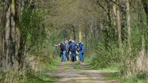 Vogels kijken en luisteren in het Aaltense Goor