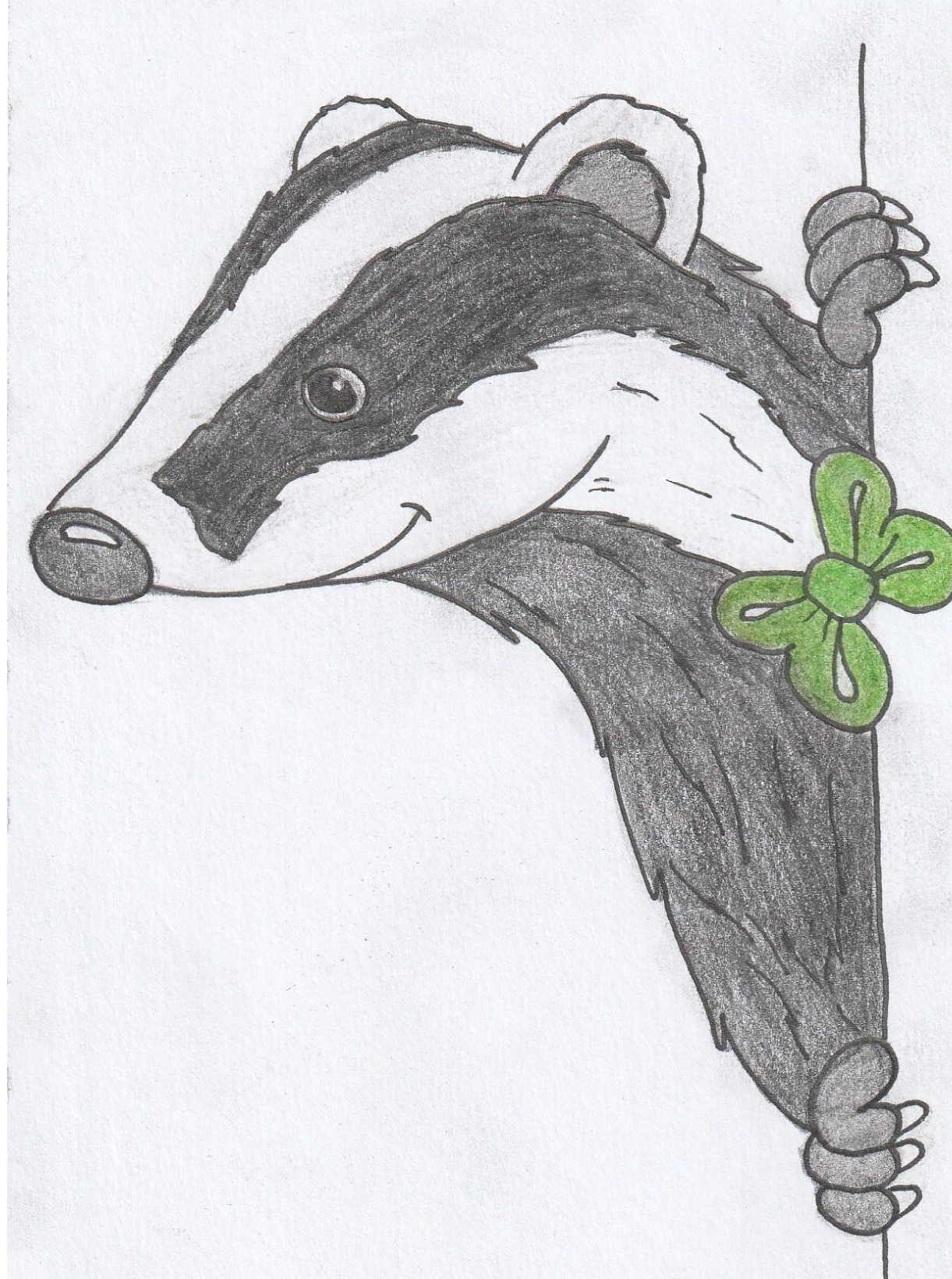 Tekening van een glimlachende das met een groene strik, kijkend vanachter een oppervlak.