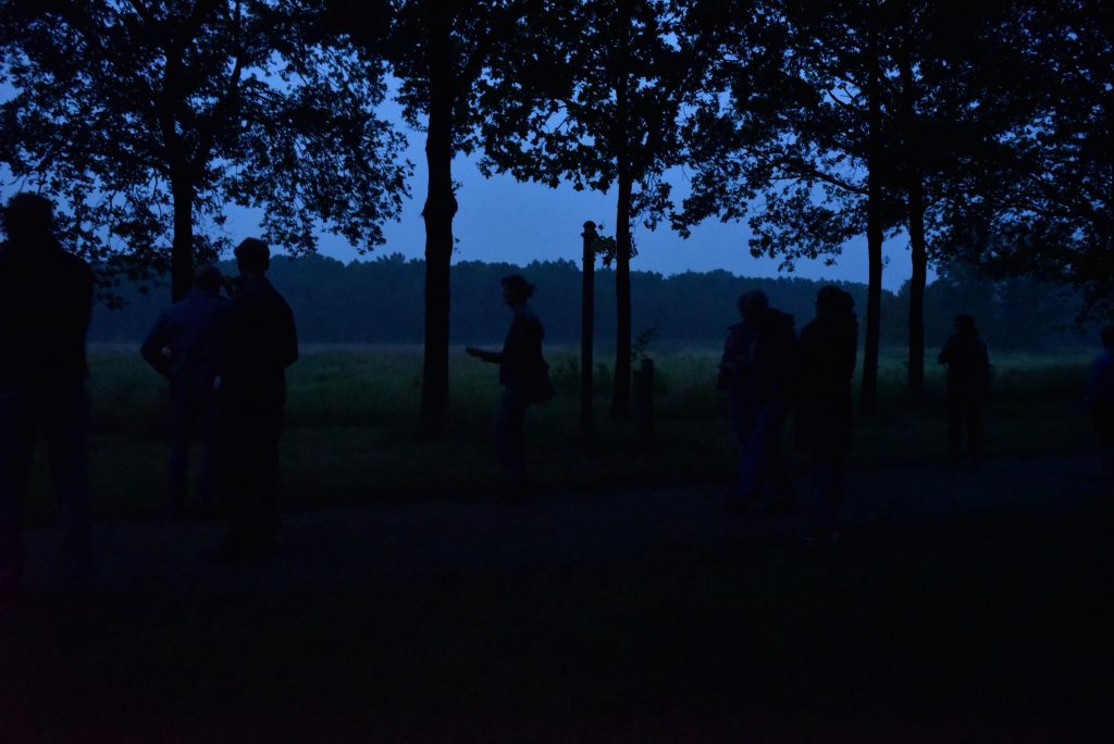 Vleermuisexcursie Slangenburg 