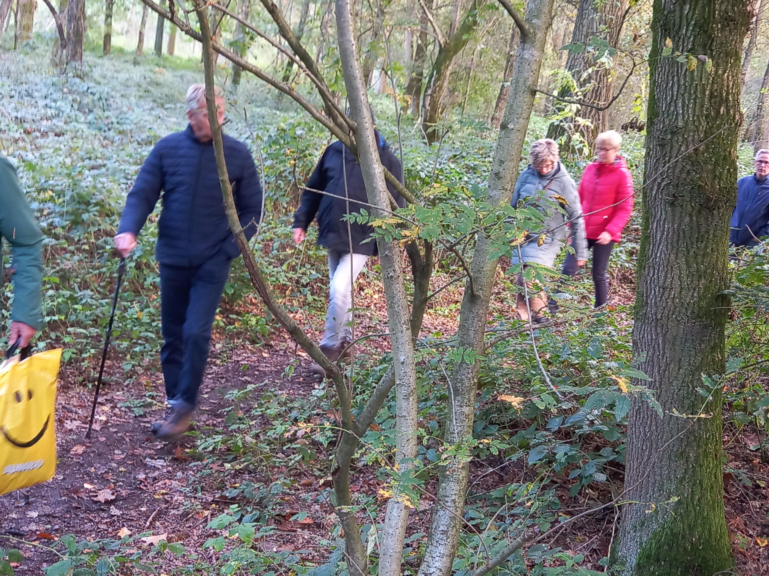 Groep mensen wandelt door een bosrijk pad met groene vegetatie.