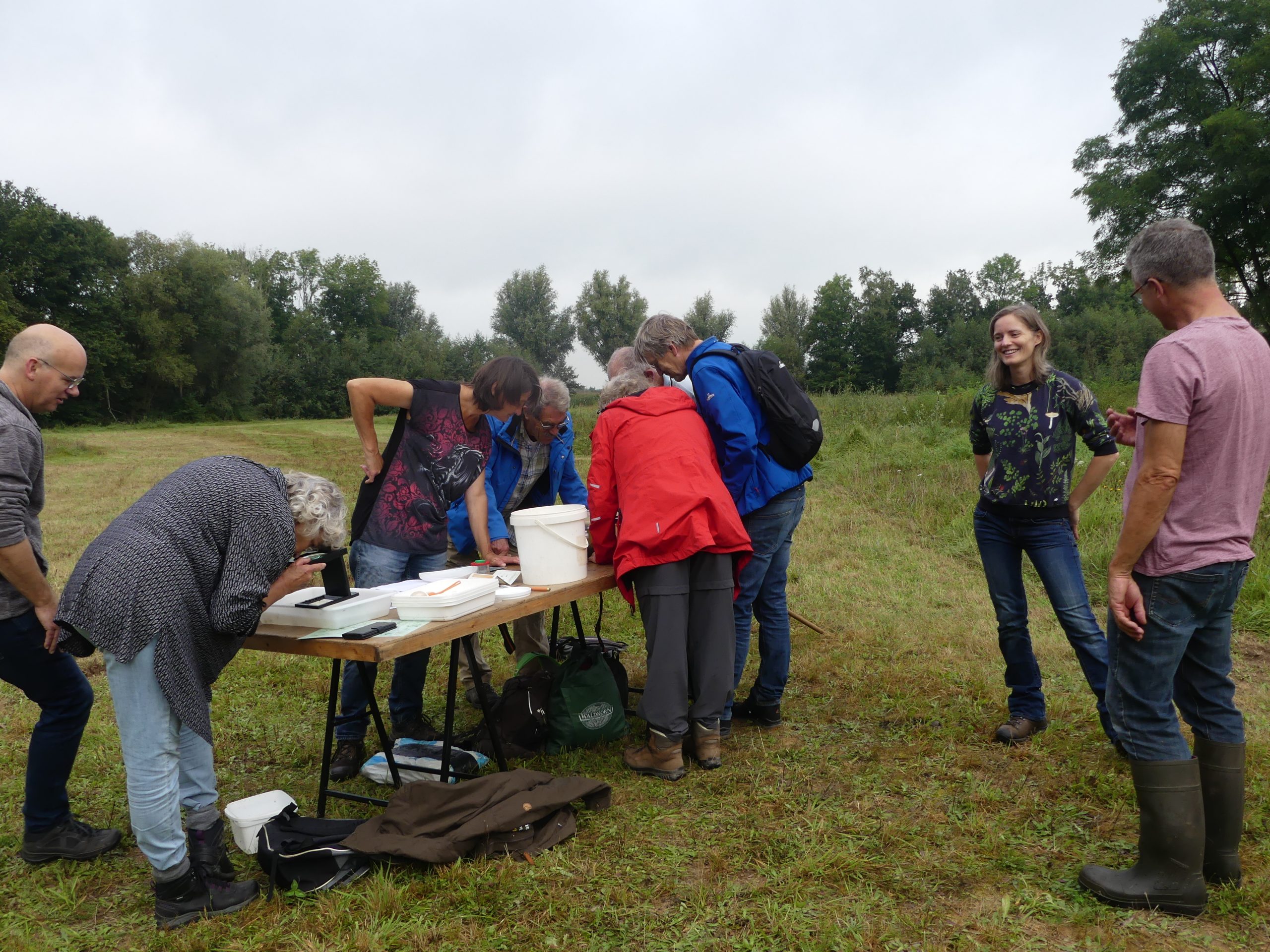 Mensen rondom een tafel in een veld, bezig met natuuronderzoek.