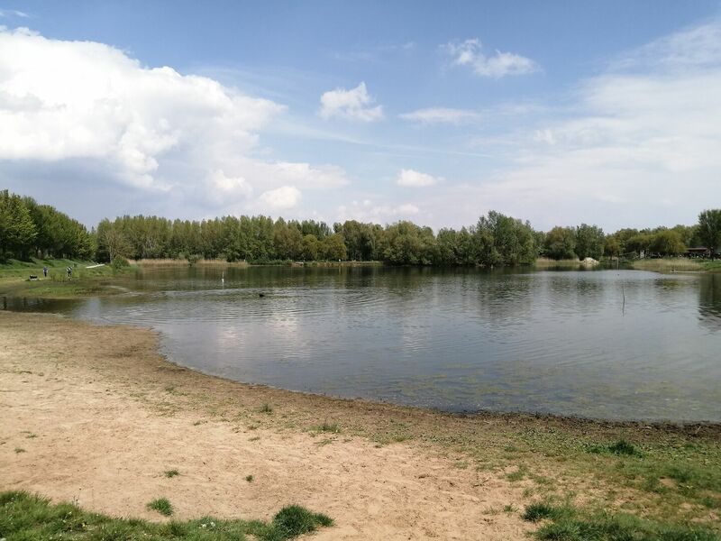 Rustige vijver met bomen aan de oever, blauwe lucht met wolken, zand en gras op de voorgrond.