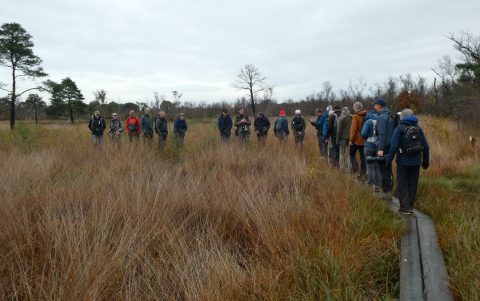 VWG-excursie Wooldse Veen