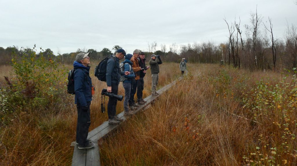Vogelwerkgroep in het Wooldse Veen