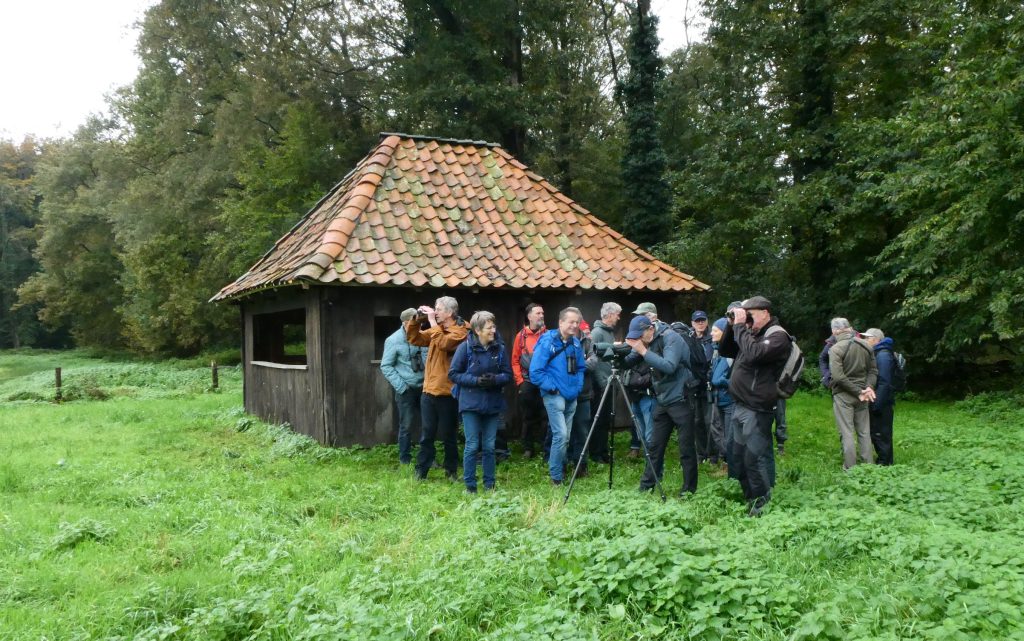 Vogelexcursie Winterswijk
