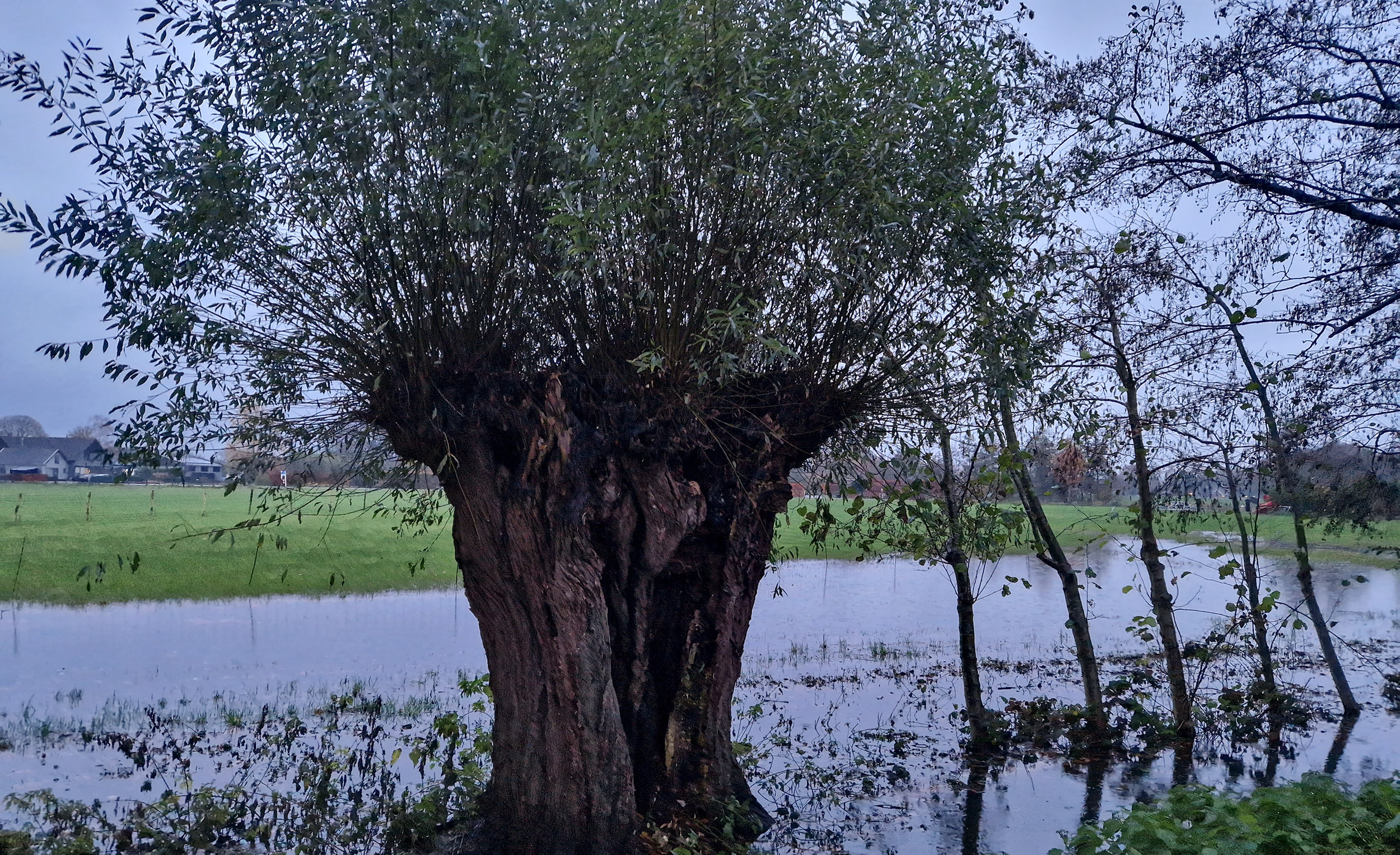 Home De Oude IJsselstreek