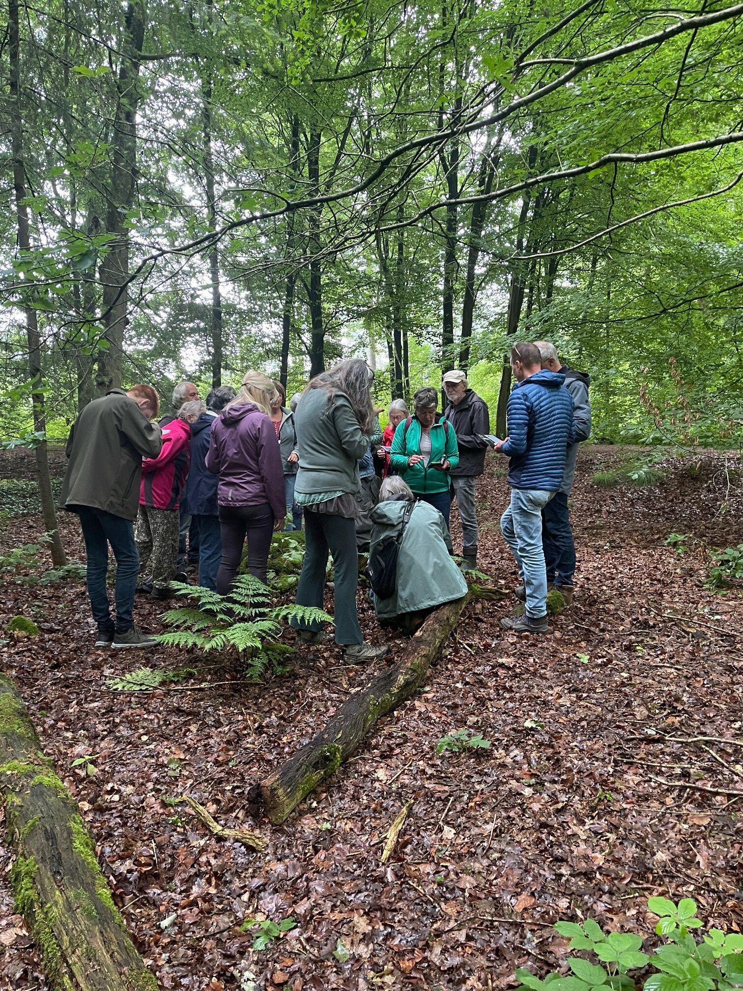 Groep mensen verkent een bos, omringd door groene bomen en gevallen bladeren.
