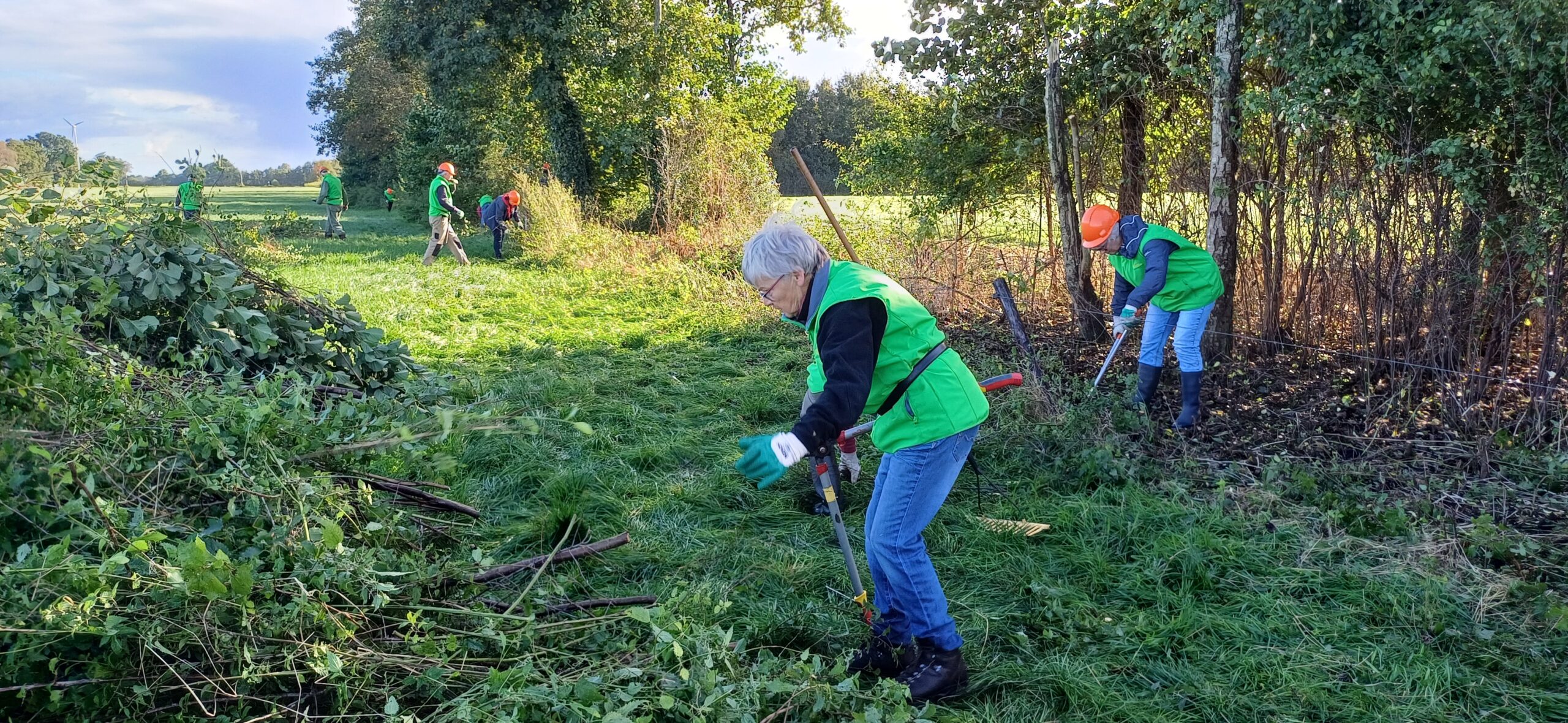 Vrijwilligers in groene hesjes snoeien struiken in een grasveld bij een bos.