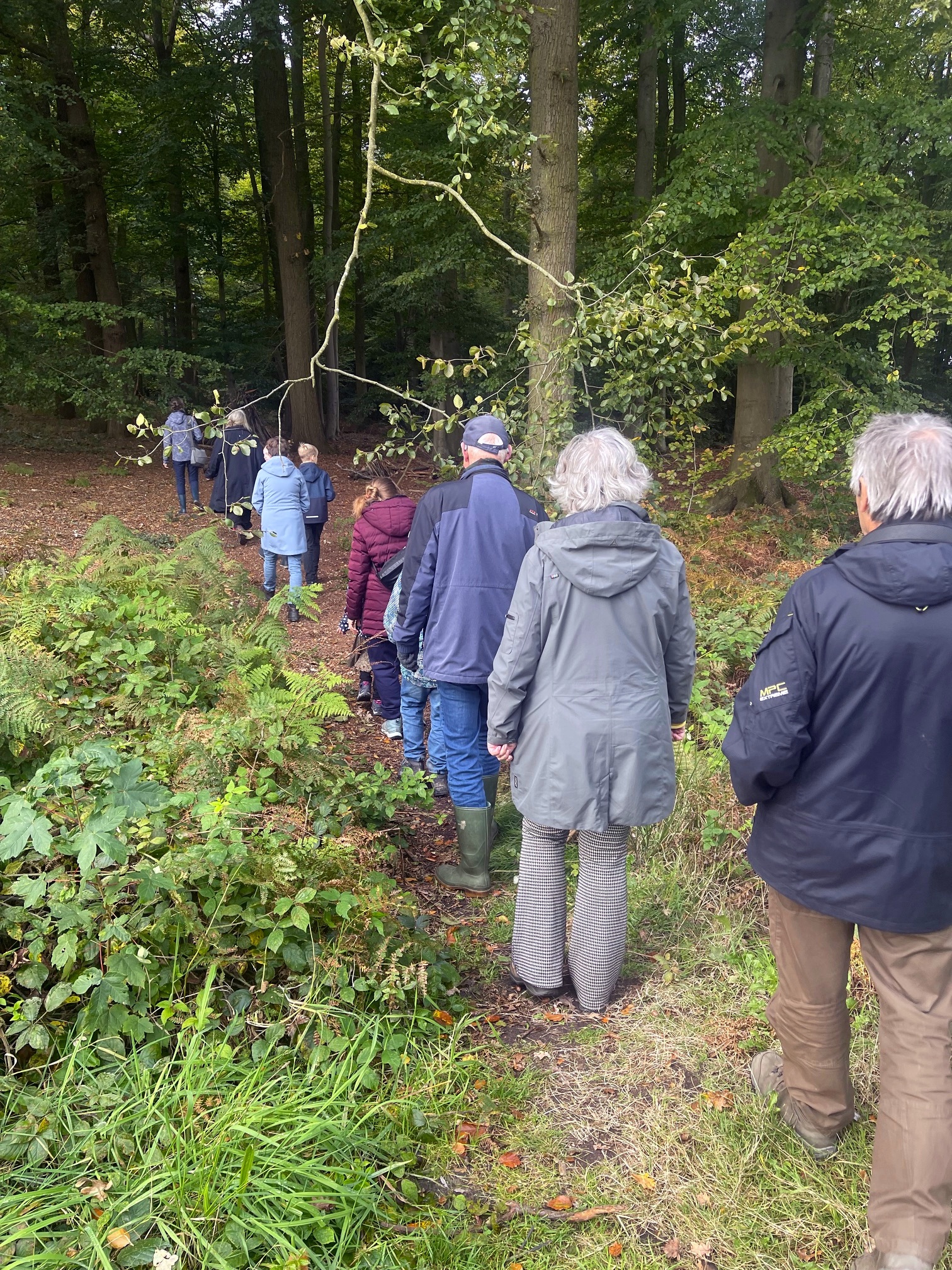 Groep in Anholtse Broek