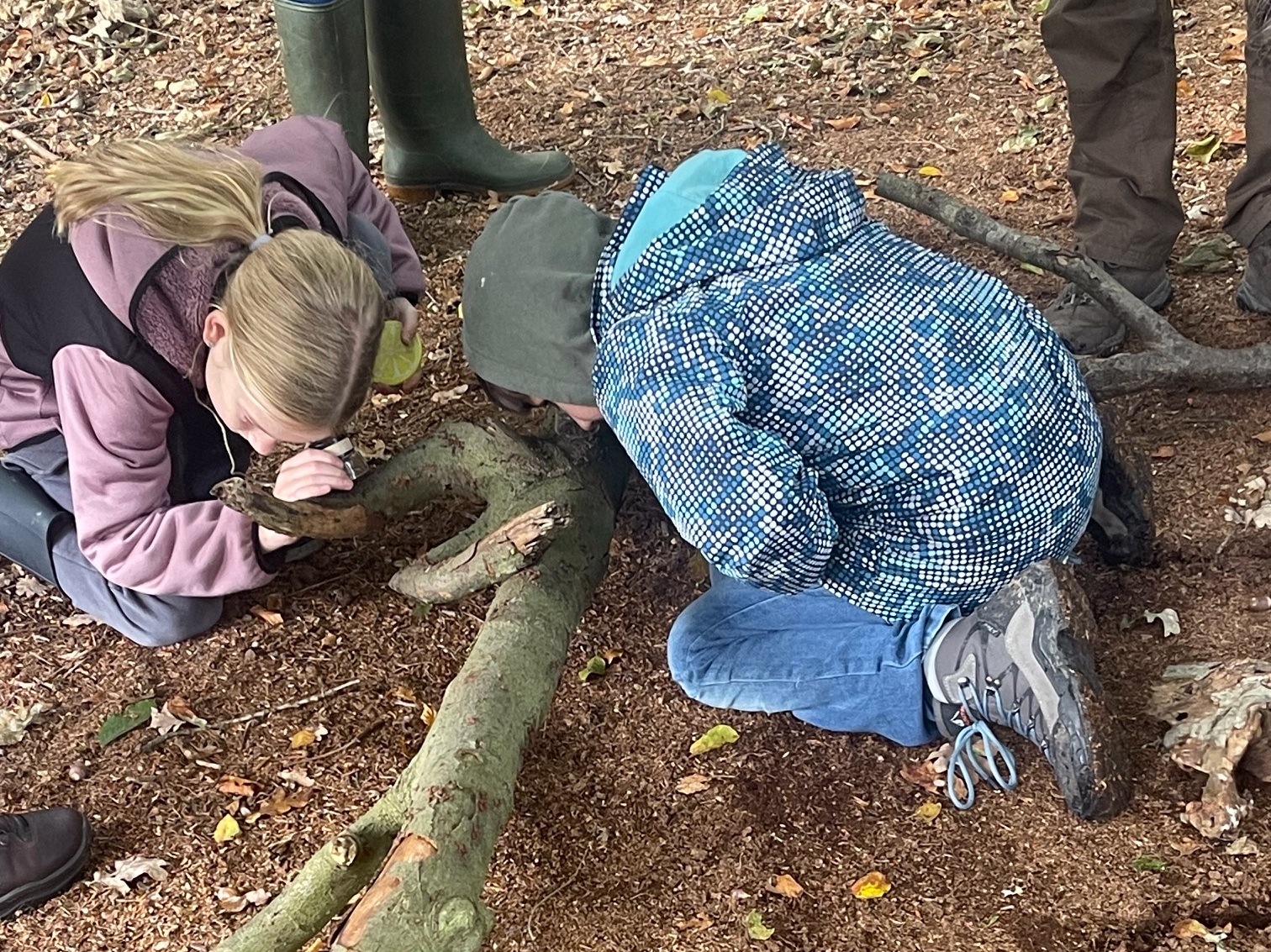 Kinderen kijken met loepjes naar kleine zwammetjes