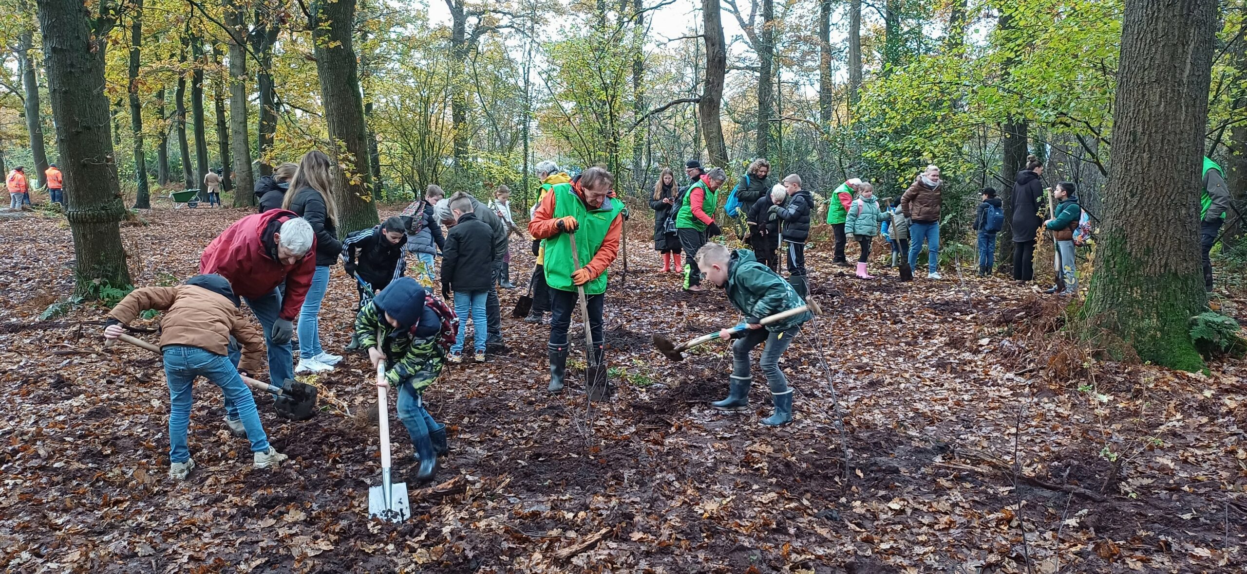 Groep mensen, inclusief kinderen, planten bomen in een bos op een herfstige dag.