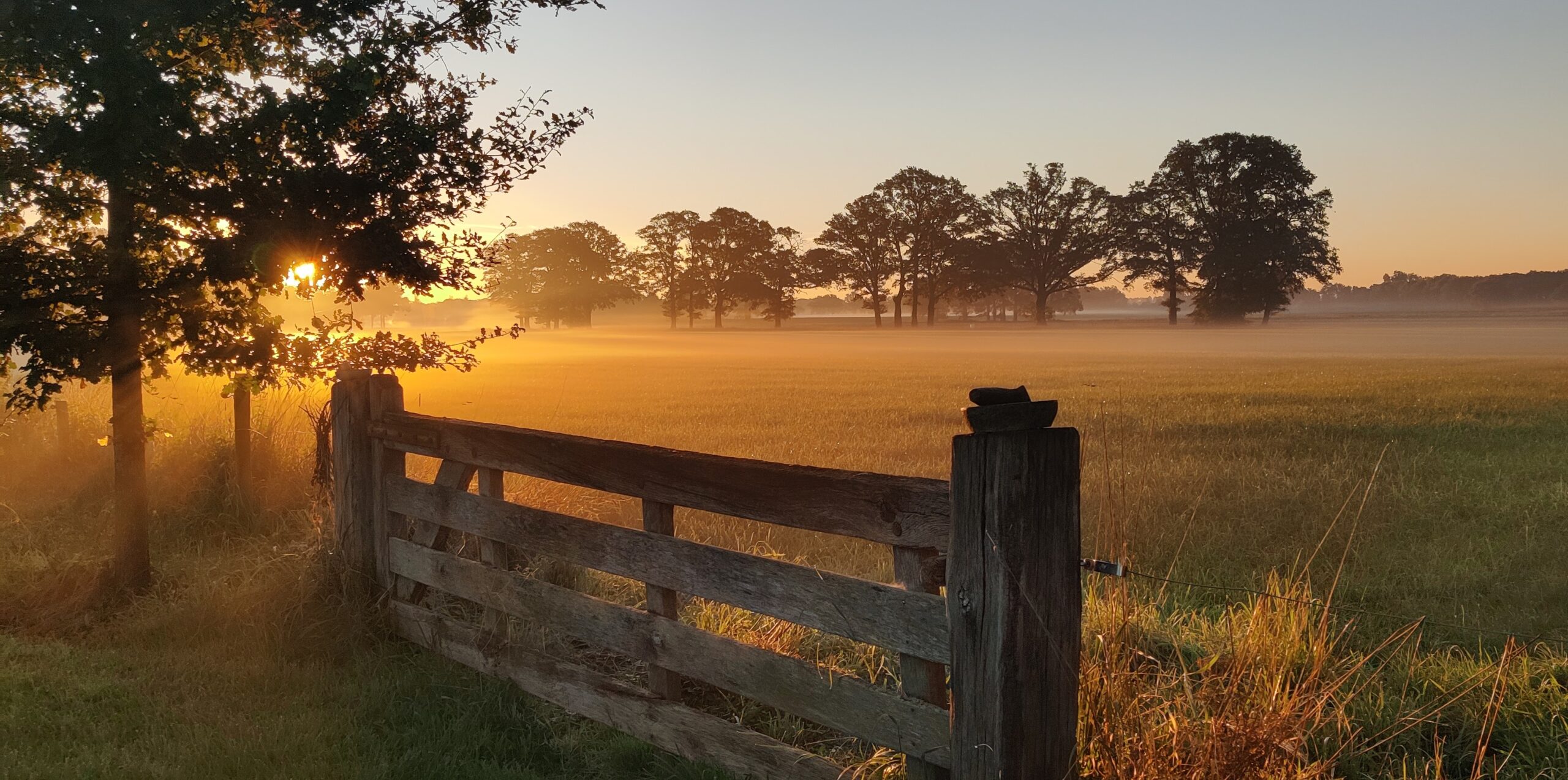 Zonsopgang over een mistig veld met houten hek en bomen in de verte.