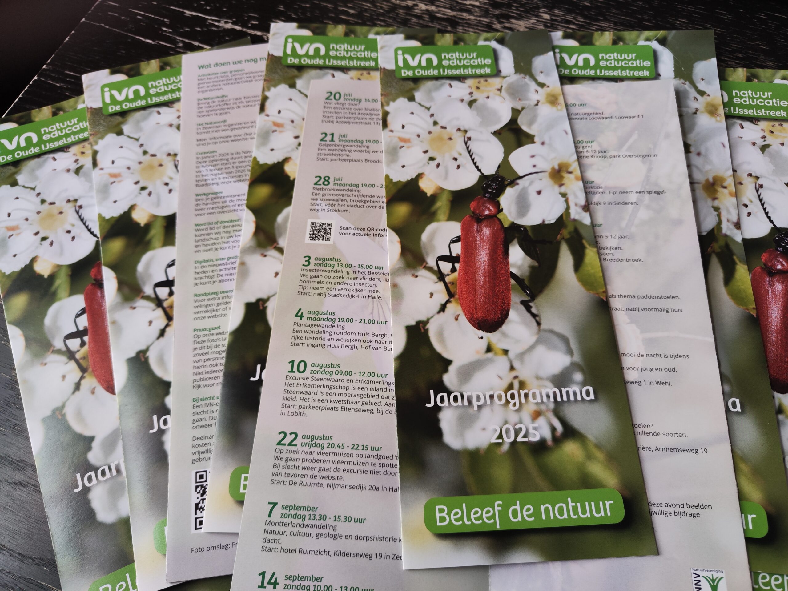Stapels flyers met het IVN logo en een kever op een bloesem, met tekst over natuurprogramma 2025.