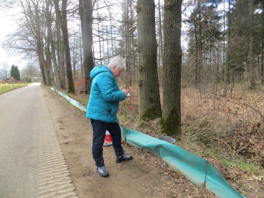 Persoon in blauwe jas noteert iets naast een weg met een groene barrière en bomen.