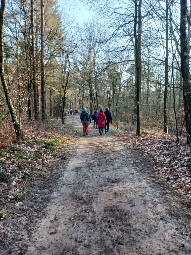 VWG-excursie Kruisbergse bossen